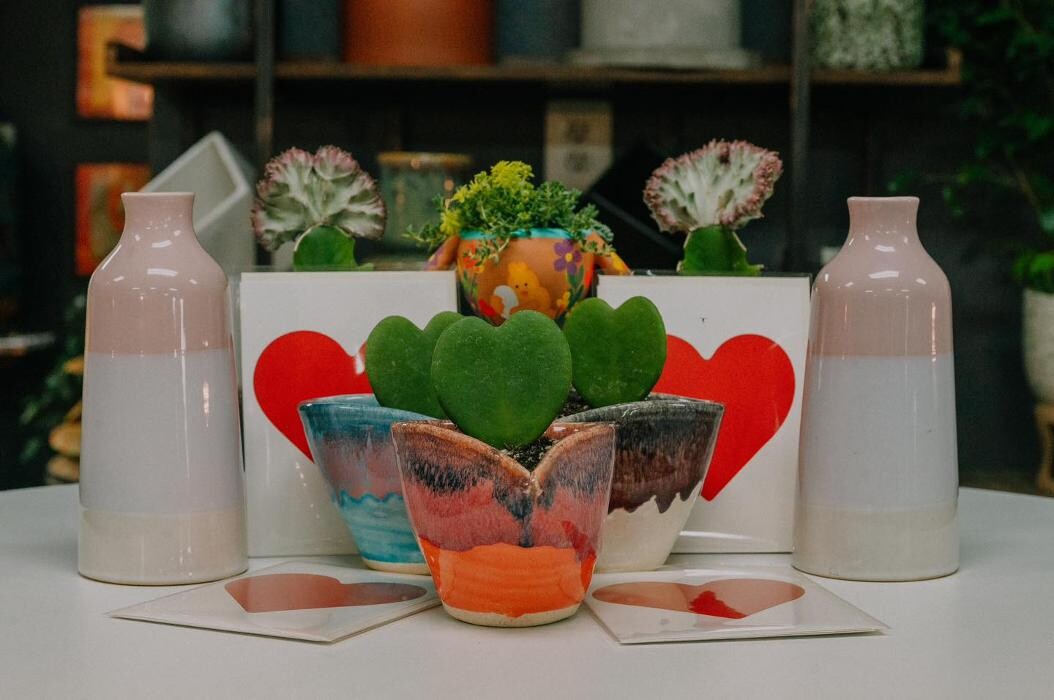 Images Dig It Gardens