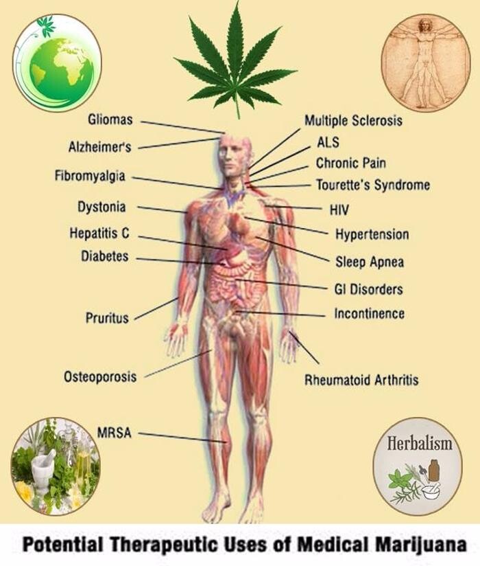 Images Medical Alternatives Clinics - Medical Marijuana Doctor