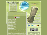 ProVoice USA website screenshot