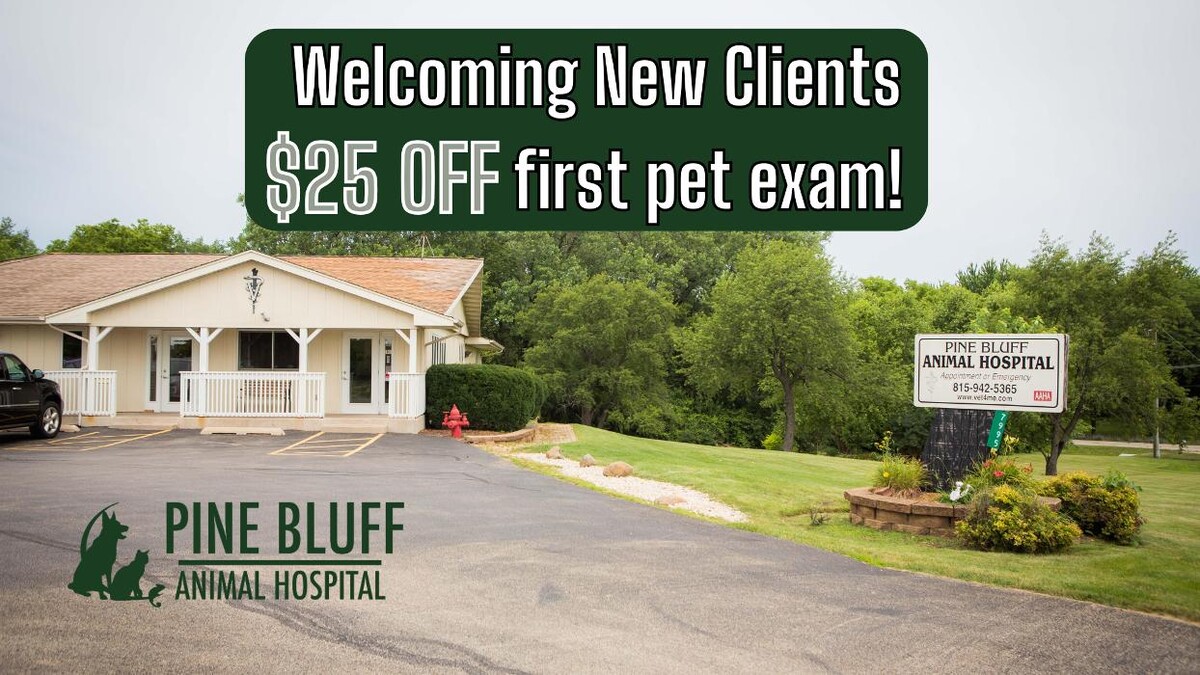Images Pine Bluff Animal Hospital