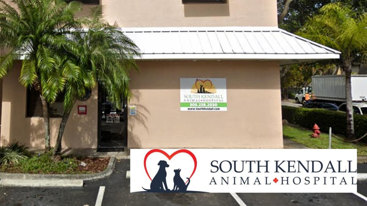 Images South Kendall Animal Hospital