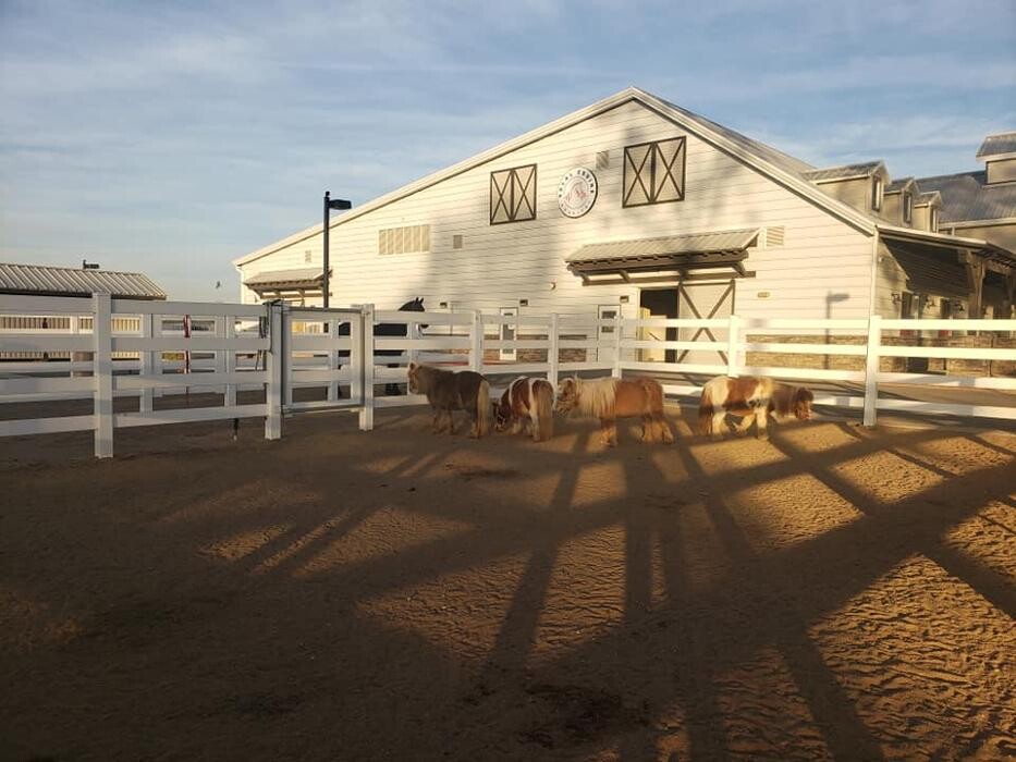 Images SoCal Equine Hospital