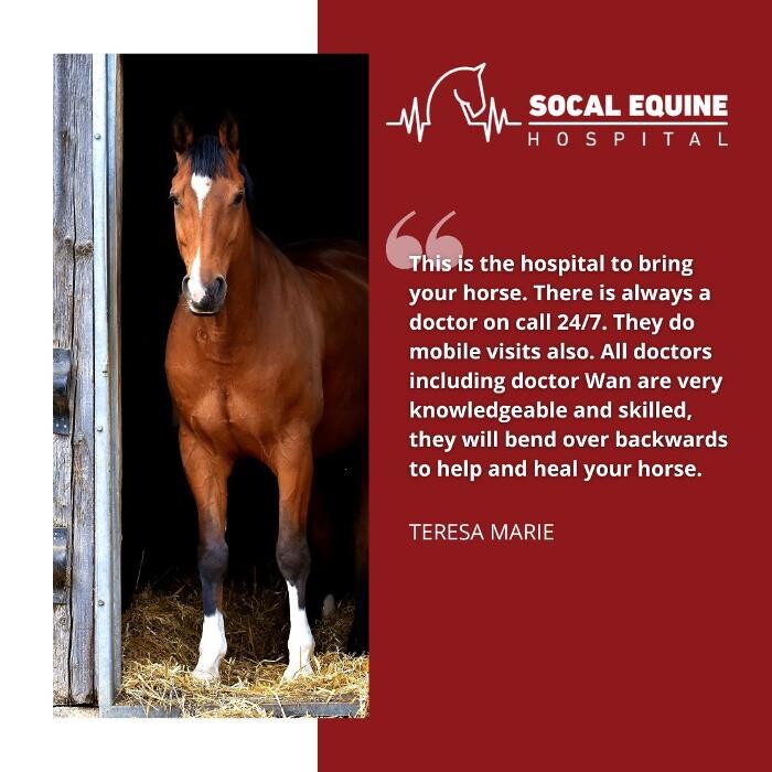 Images SoCal Equine Hospital