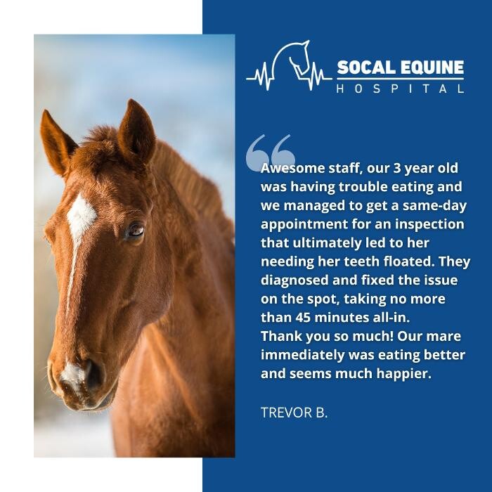 Images SoCal Equine Hospital