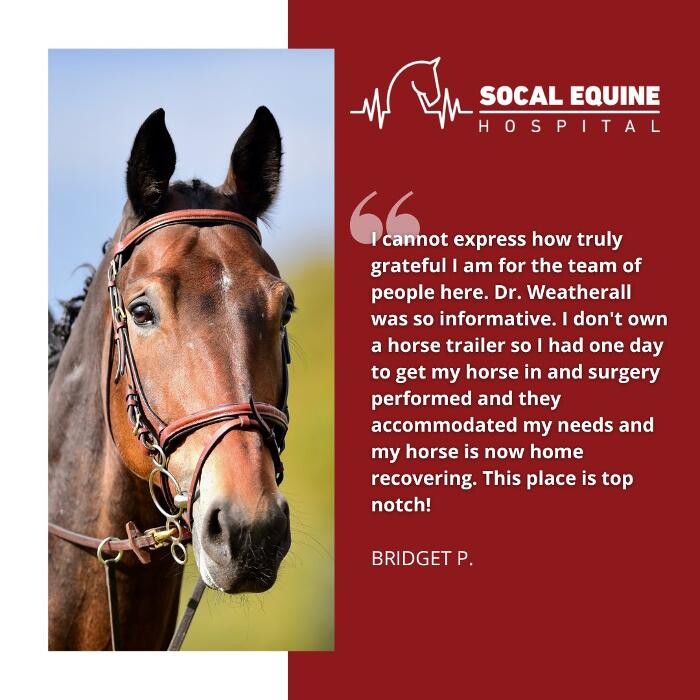 Images SoCal Equine Hospital