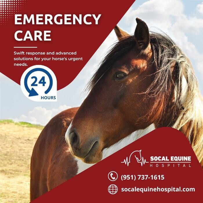 Images SoCal Equine Hospital