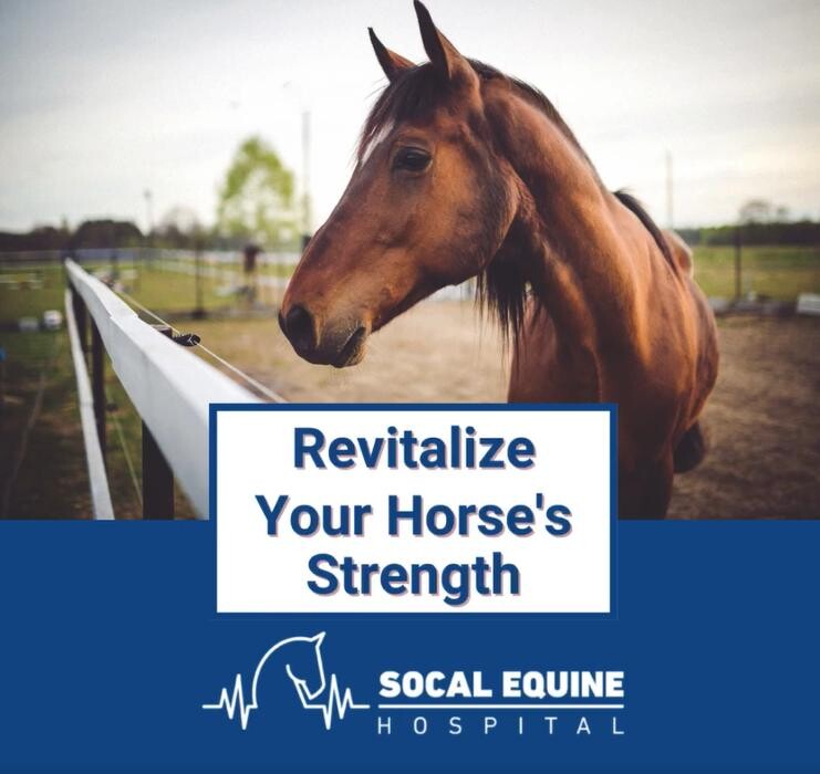 Images SoCal Equine Hospital