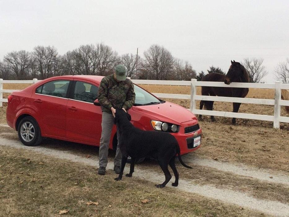 Images Jim Falk Motors