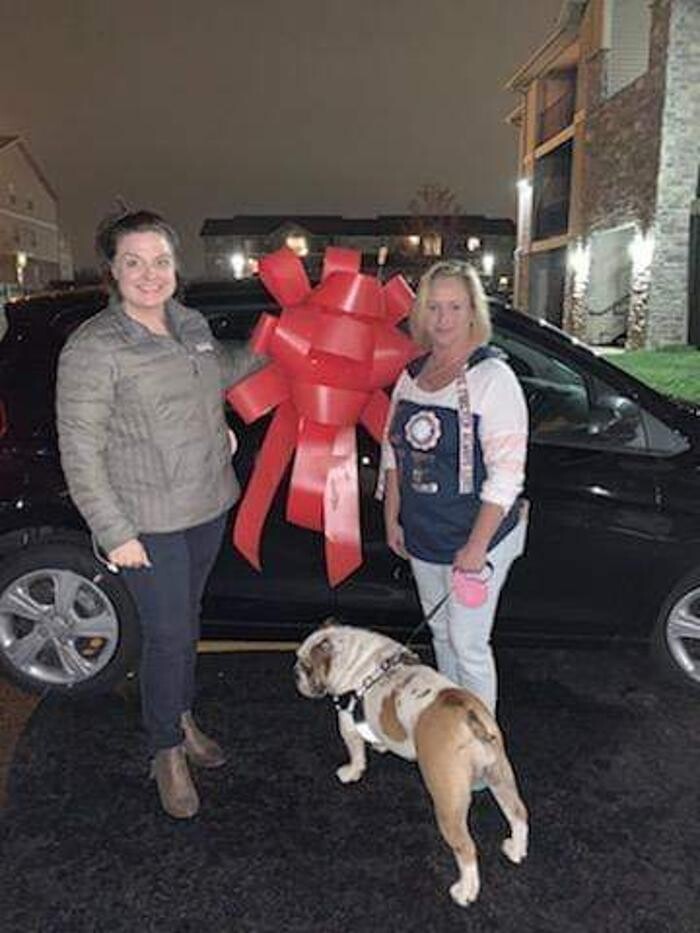 Images Jim Falk Motors