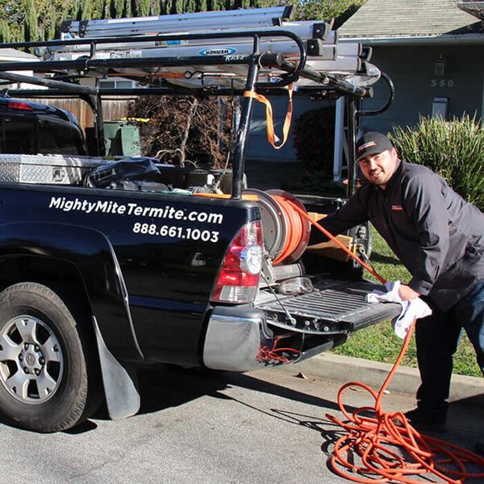 Images MightyMite Termite Services
