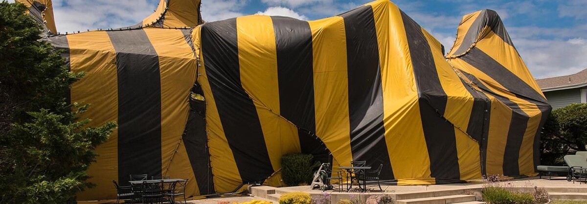 Images MightyMite Termite Services