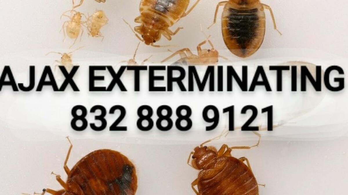 Images Ajax Exterminating - Pest Control Services