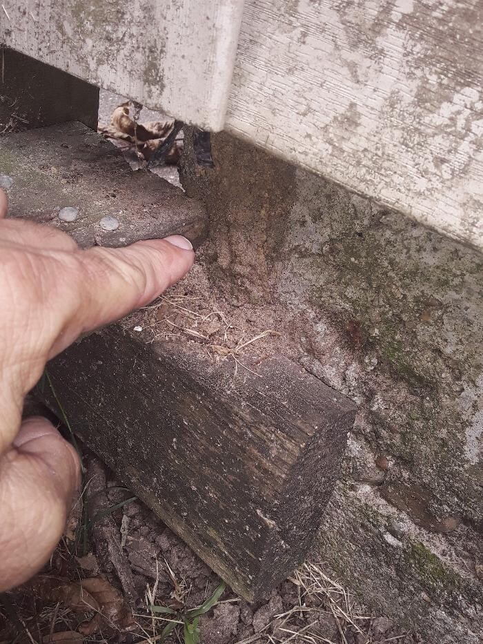 Images Ajax Exterminating - Pest Control Services