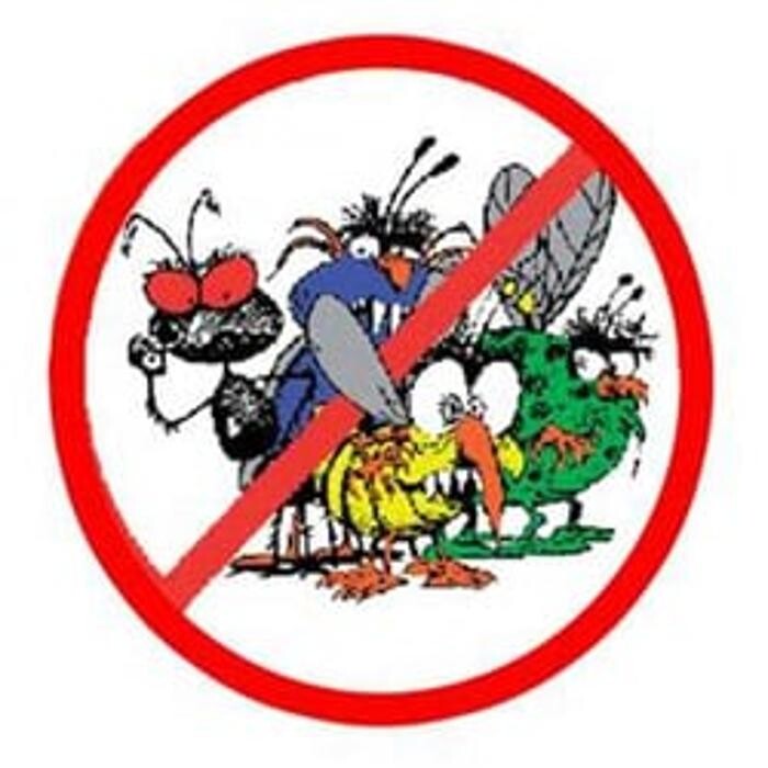 Images Ajax Exterminating - Pest Control Services