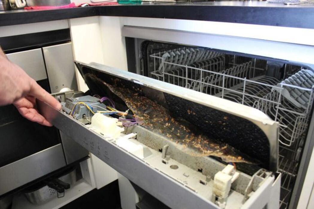 Images Ajax Exterminating - Pest Control Services