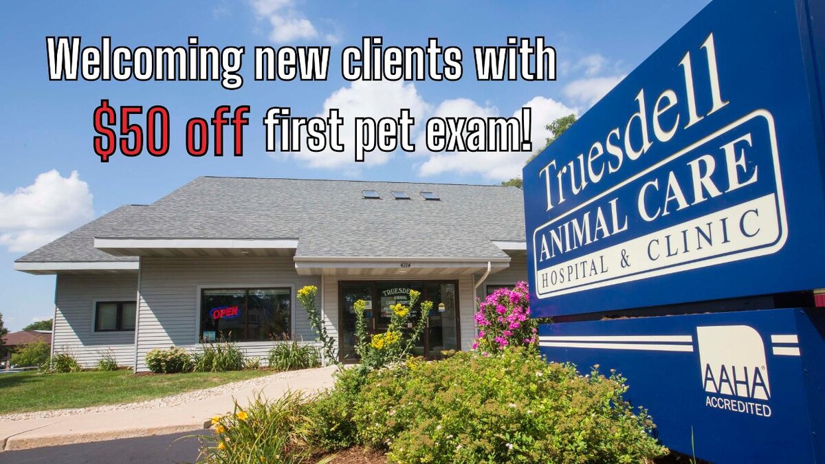 Images Truesdell Animal Care Hospital & Clinic