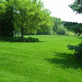 GREENER ALTERNATIVE INC Logo