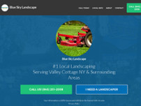 Screenshot for http://blueskylandcare.com