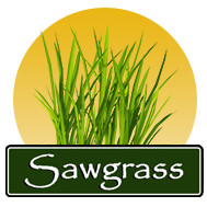 Sawgrass Recreation Park Logo
