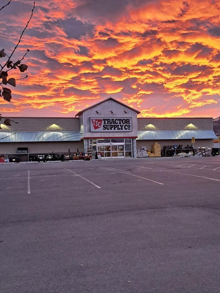 Images Tractor Supply Co.