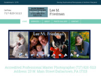 Lee M Freidman Studio website screenshot