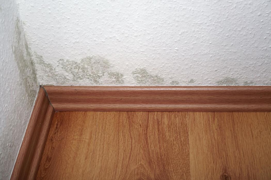 Images Home Technology Inspections