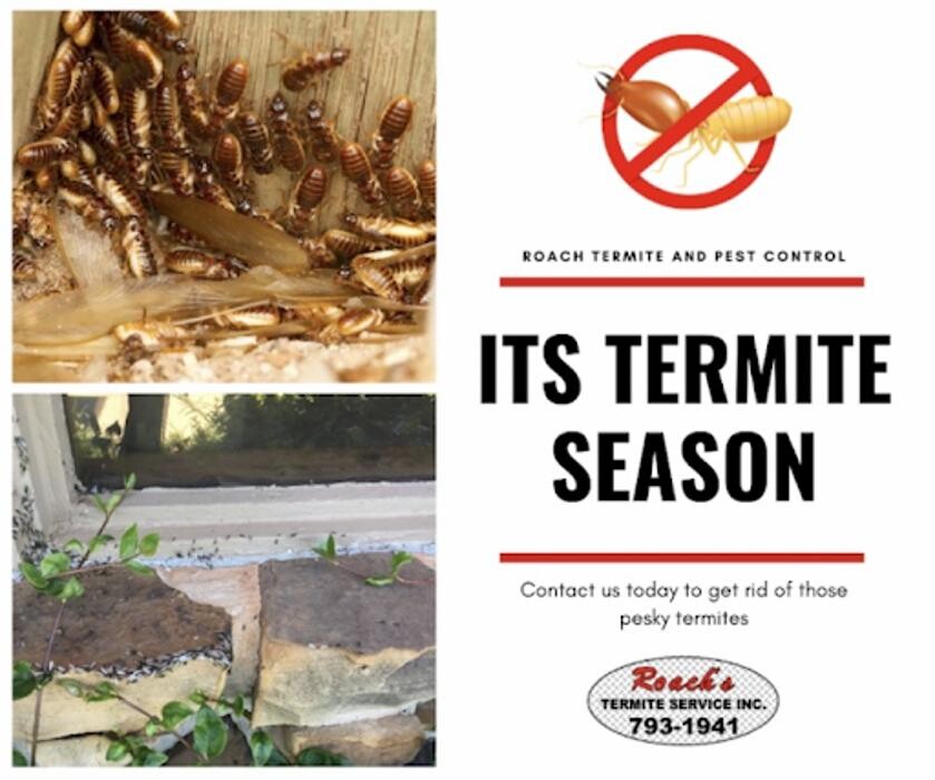 Images Roach's Termite and Pest Control Inc.