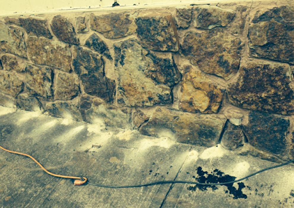 Images Roach's Termite and Pest Control Inc.