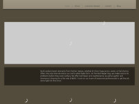 The Roof Repair Guy website screenshot
