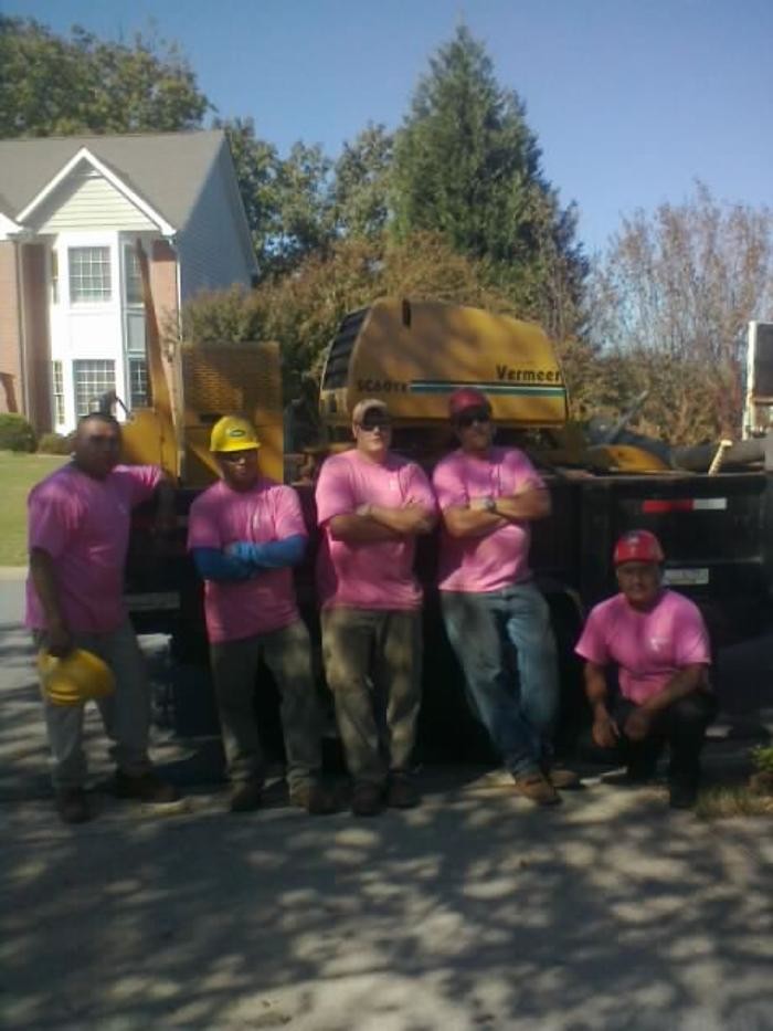 Images Atlanta Classic Tree Service
