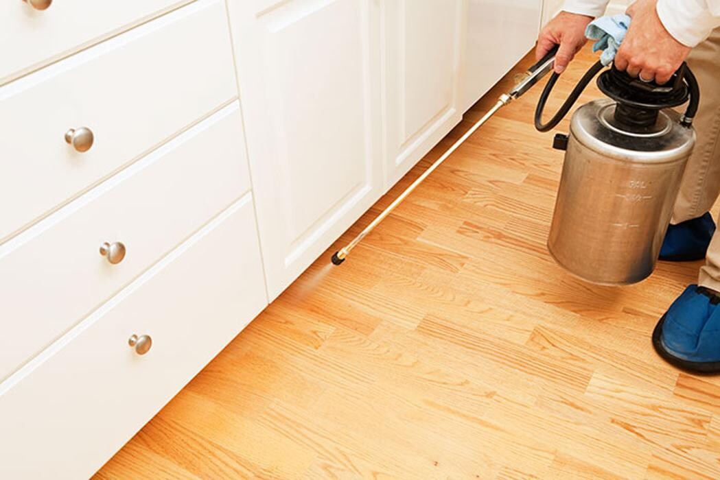 Images Montgomery Pest Control