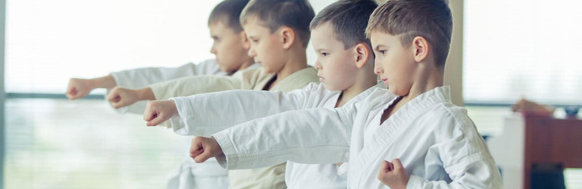 Images Bushi Ban Martial Arts & Fitness