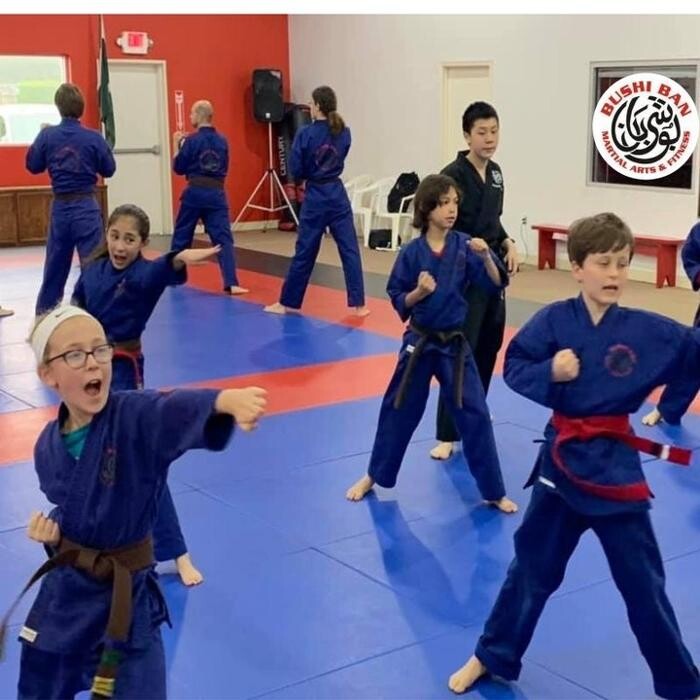 Images Bushi Ban Martial Arts & Fitness