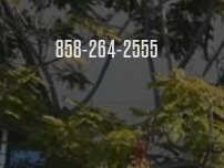 Website Screenshot Origin Dental