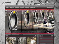 Screenshot for http://ltlaundry.com