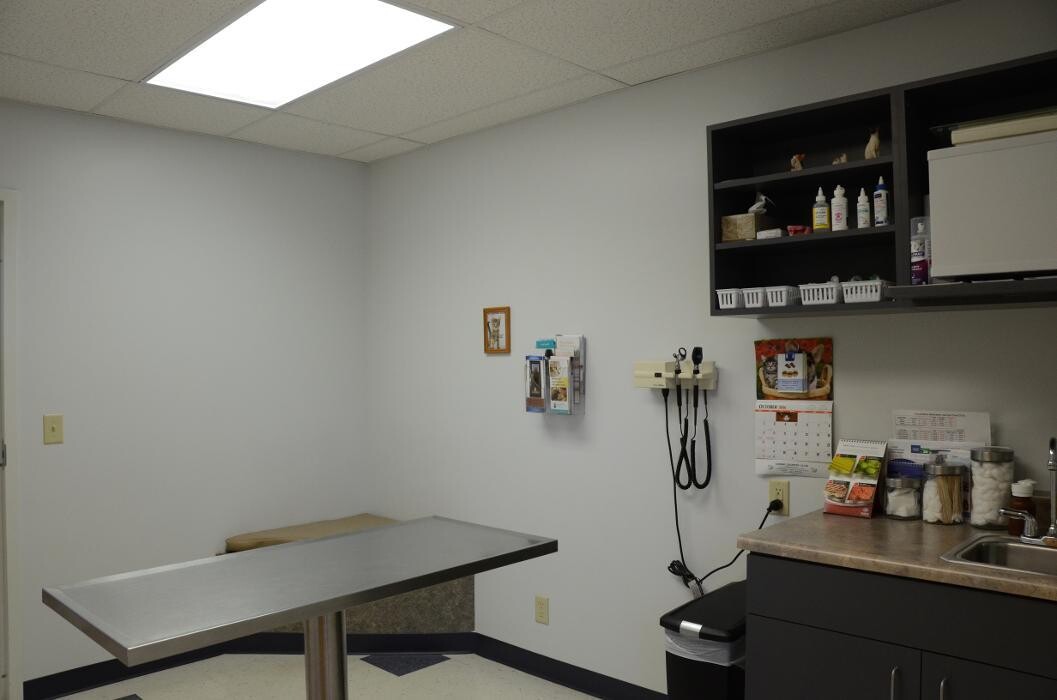 Images Washington Veterinary Medical Clinic