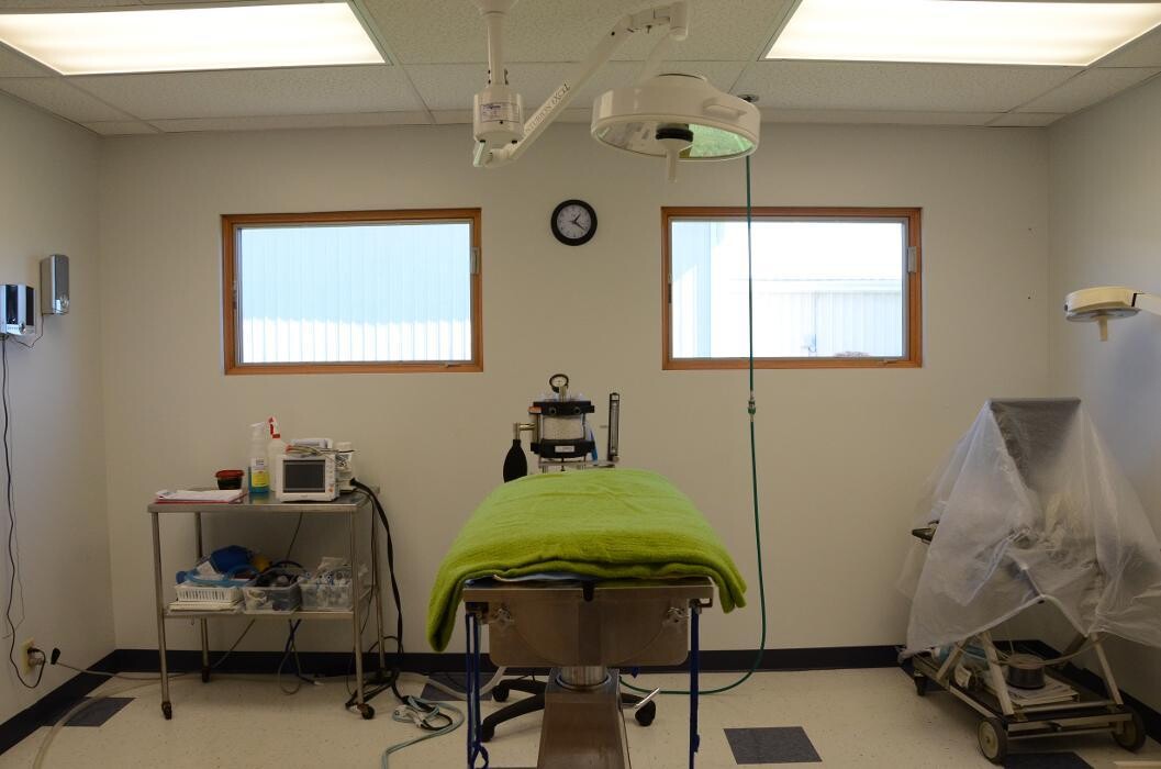 Images Washington Veterinary Medical Clinic
