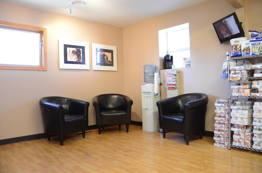 Images Washington Veterinary Medical Clinic