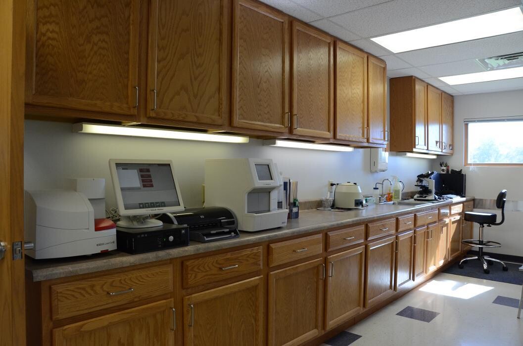 Images Washington Veterinary Medical Clinic