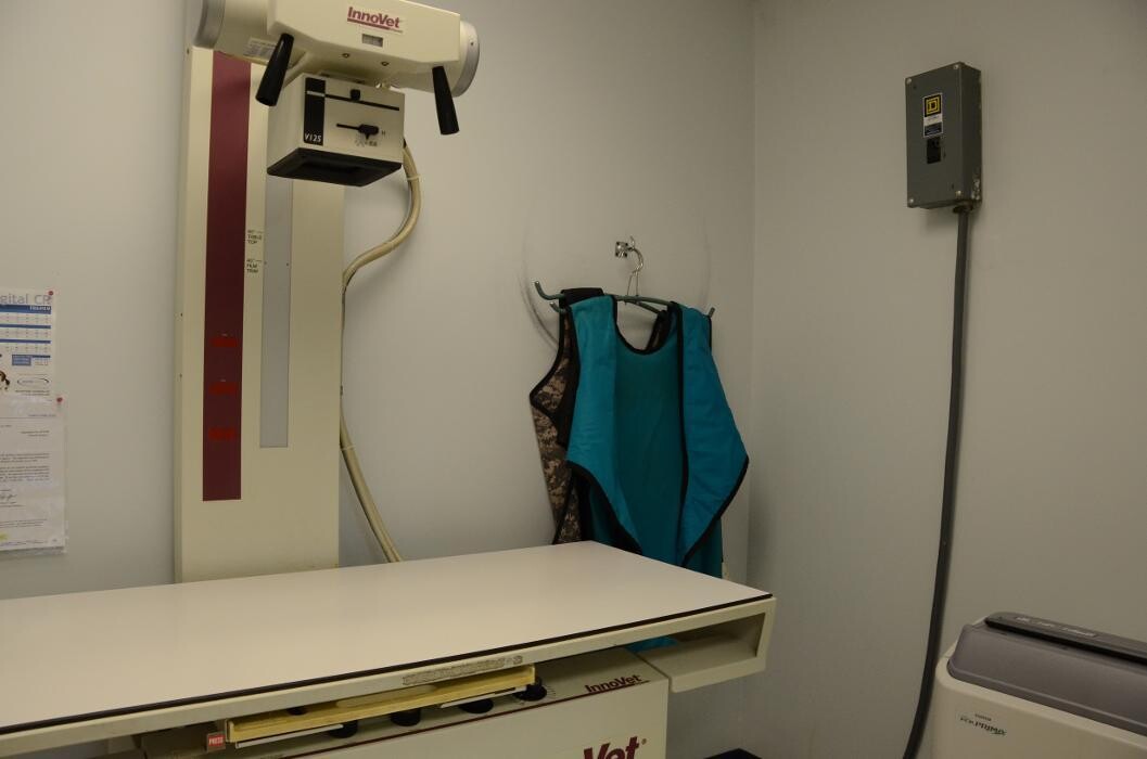 Images Washington Veterinary Medical Clinic