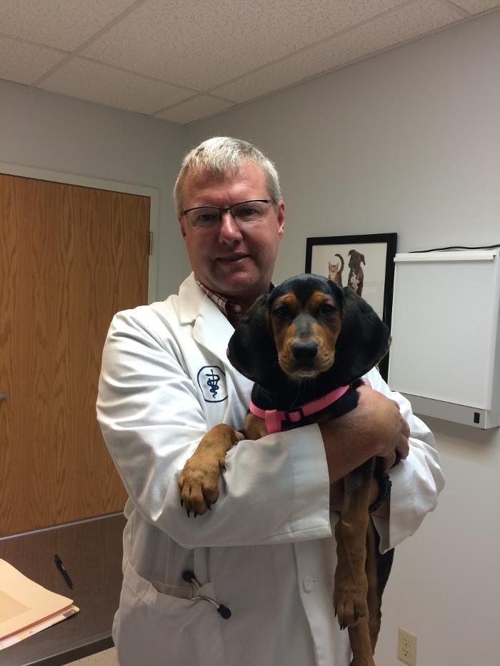 Images Washington Veterinary Medical Clinic
