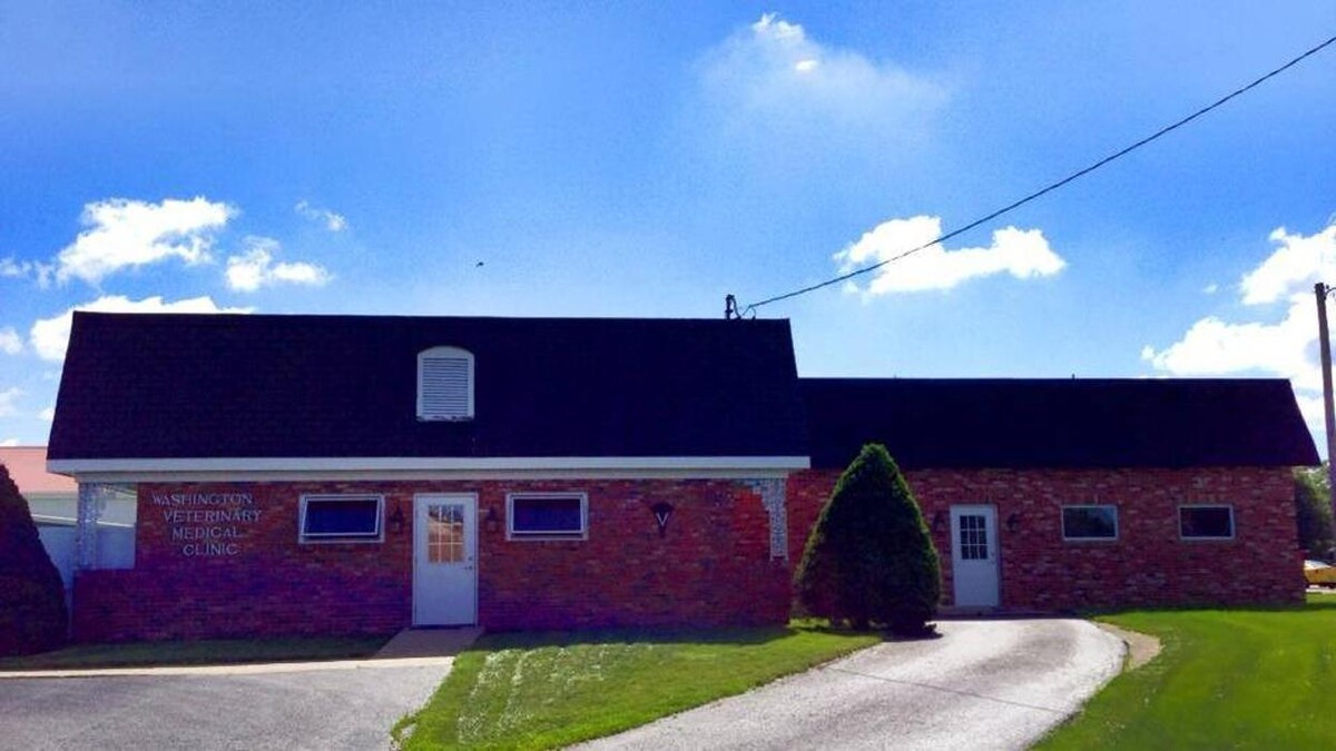 Images Washington Veterinary Medical Clinic