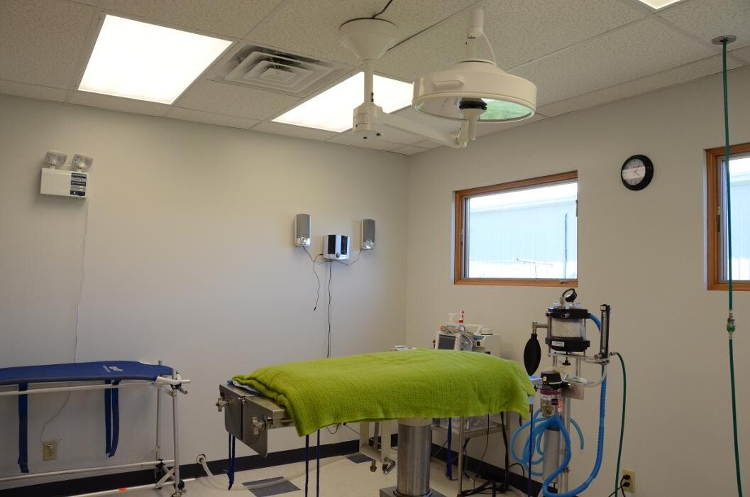 Images Washington Veterinary Medical Clinic