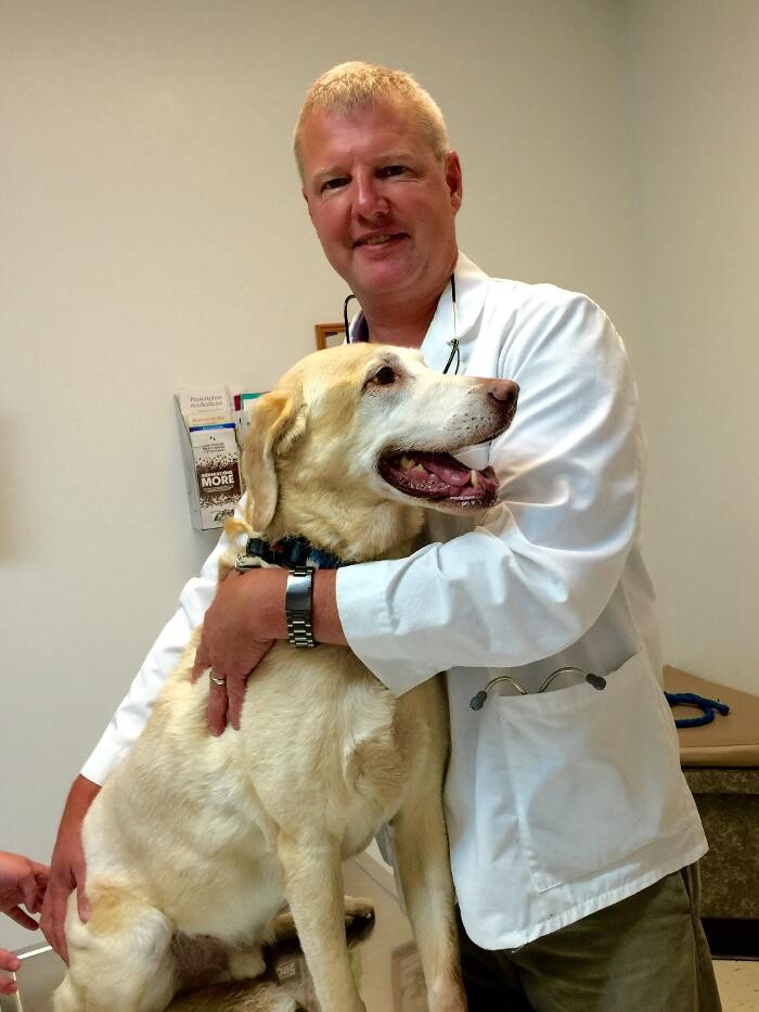 Images Washington Veterinary Medical Clinic