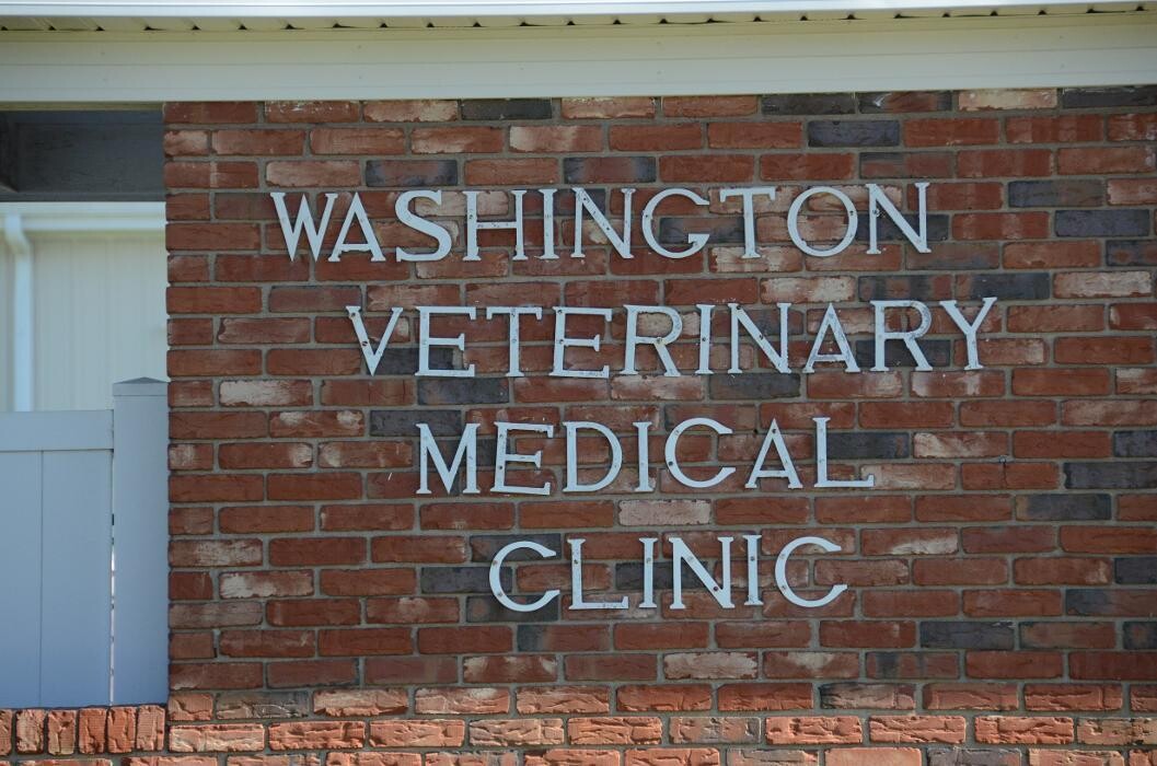 Images Washington Veterinary Medical Clinic