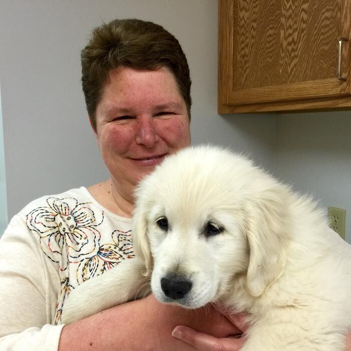 Images Washington Veterinary Medical Clinic