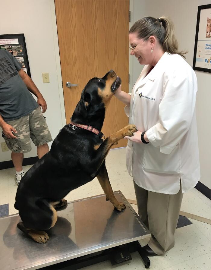 Images Washington Veterinary Medical Clinic