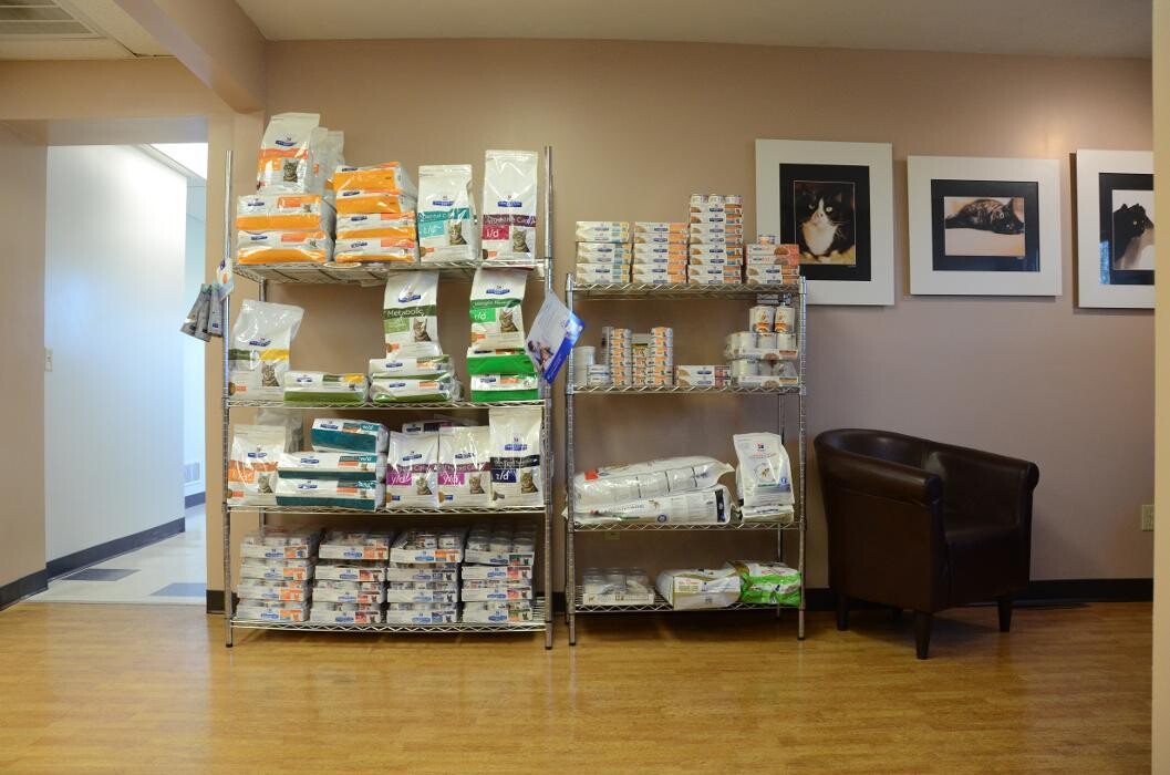 Images Washington Veterinary Medical Clinic