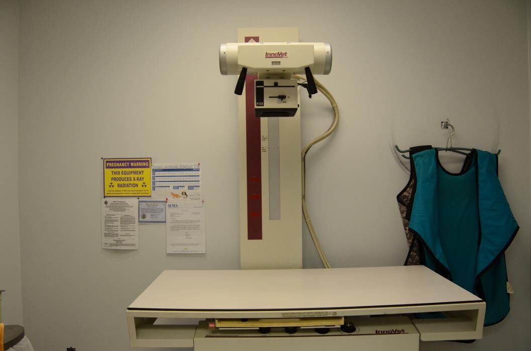 Images Washington Veterinary Medical Clinic