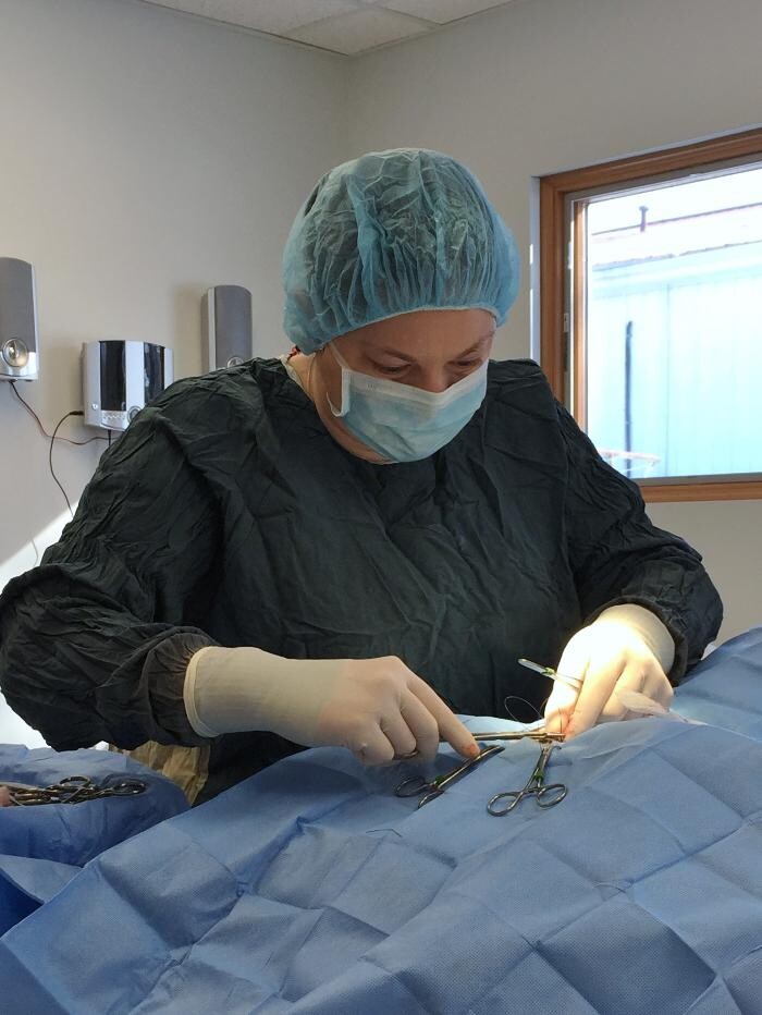 Images Washington Veterinary Medical Clinic